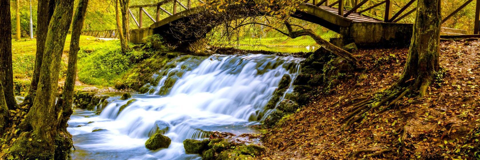 River Bosna Springs
