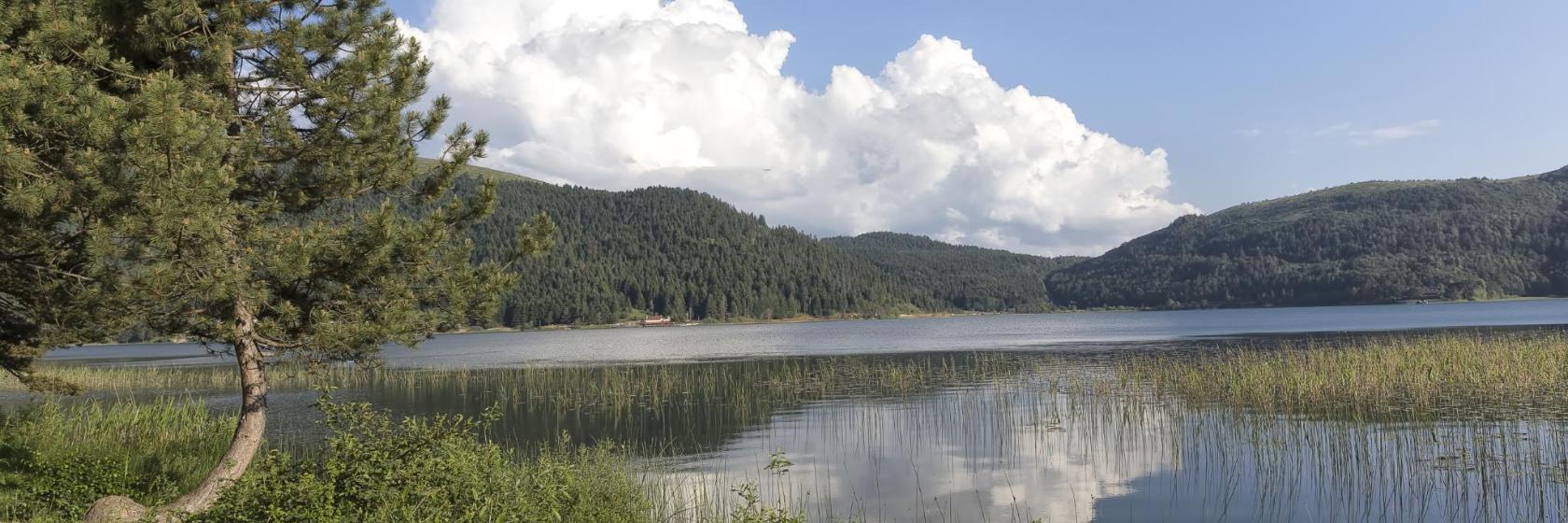 Lake Abant Nature Park