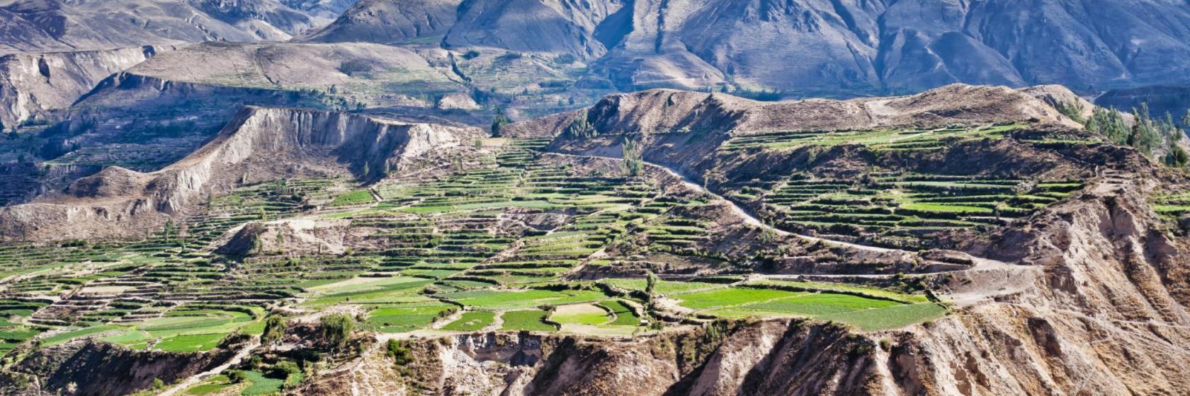 Colca Canyon