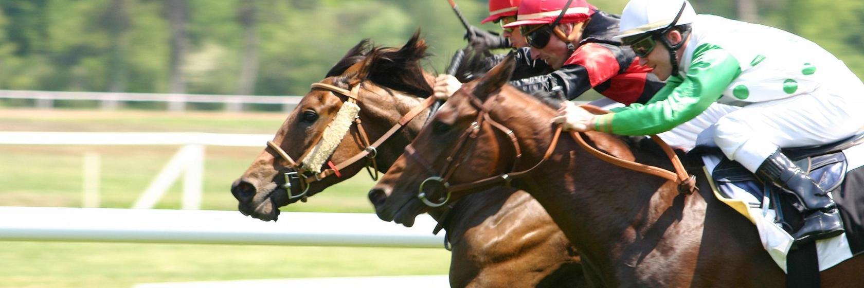 Deauville Racecourse