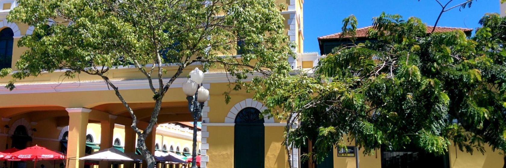 Marche Public de Florianopolis