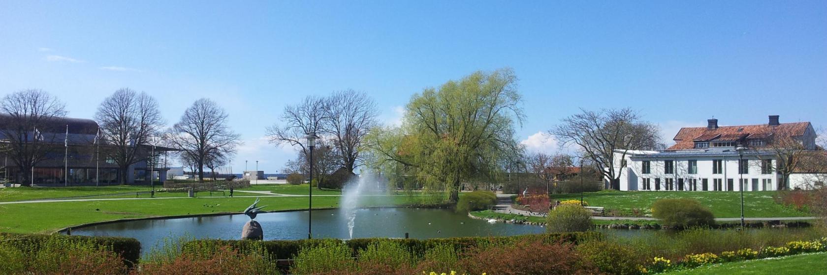 DBW's Botanical Garden