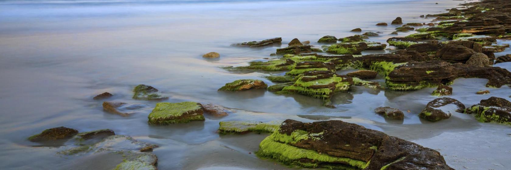 Coquina Beach