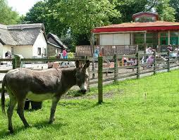 Tam O'Shanter Urban Farm