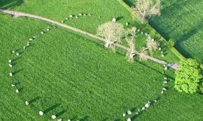 Long Meg and her Daughters