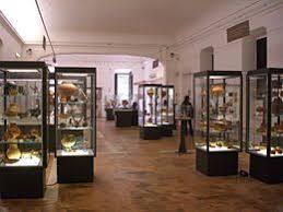 Provincial Archaeological Museum of Western Lucania