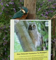 Oasi "Le Risorgive" Verdeblu