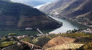 Double viewpoint De Loivos