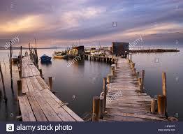 Carrasqueira
