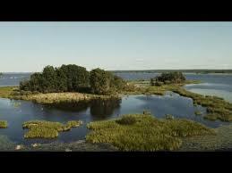 Oset and Rynningeviken