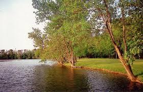 Parc de la Ballastiere