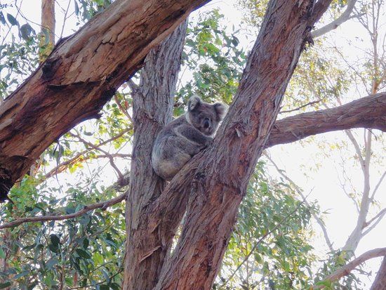 Peninsula Gardens Bushland Reserve