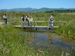 Oasi Naturale del Gabbianello