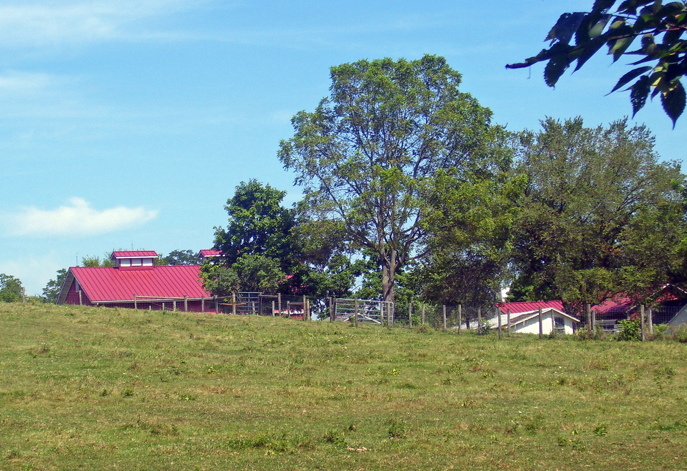 Gilfillan Farm