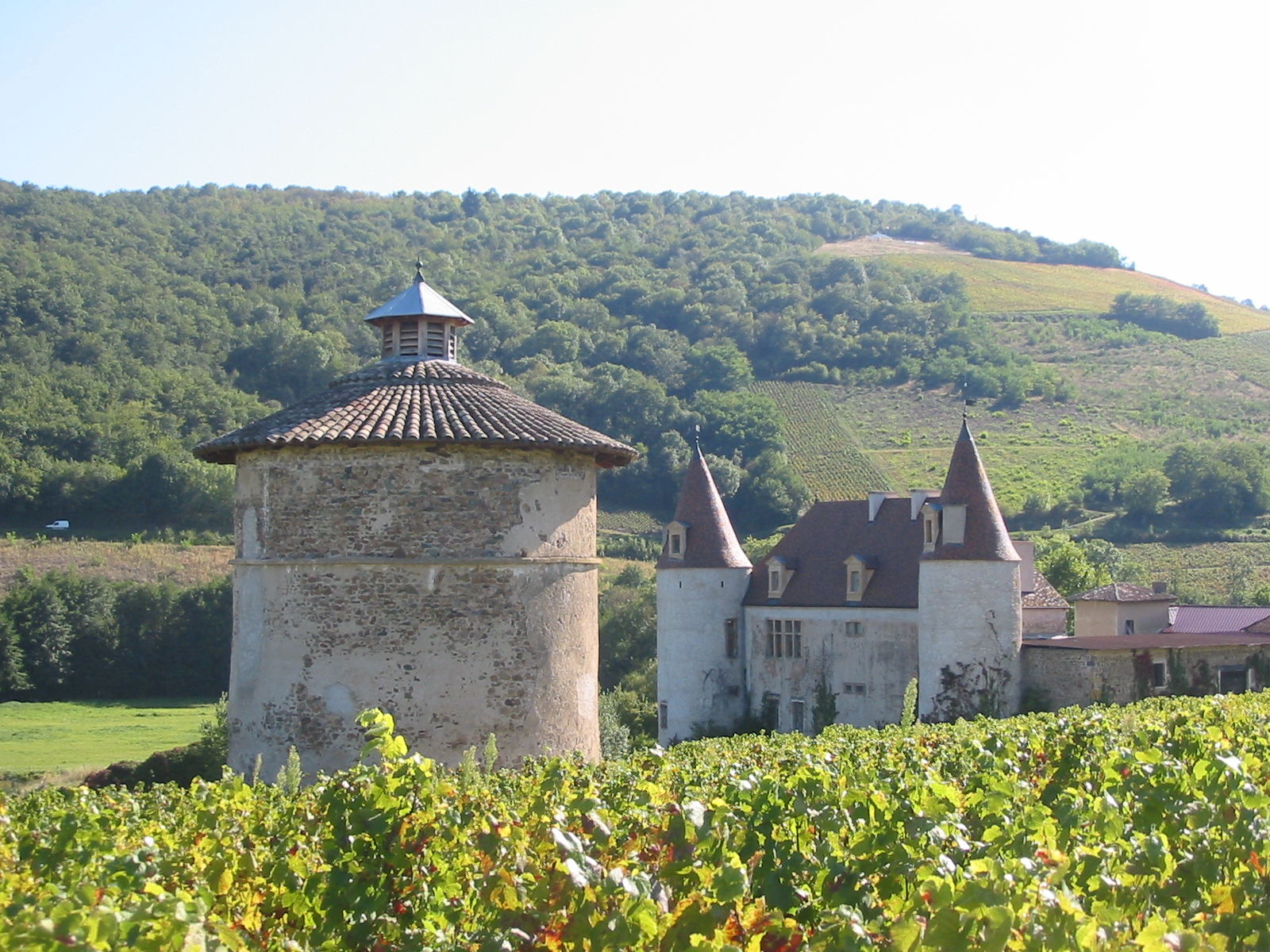 Chateau de La Palud