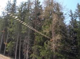 Champoluc Adventure Park