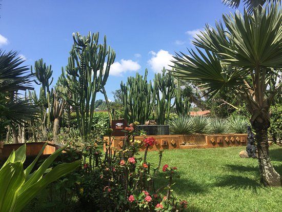 Jardin Exotico Kamala