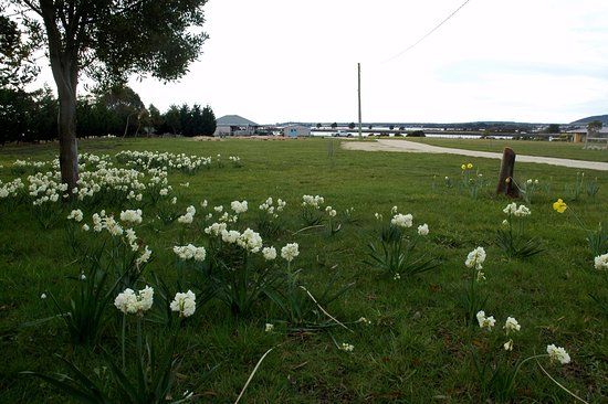 Tamar Valley Art Shack