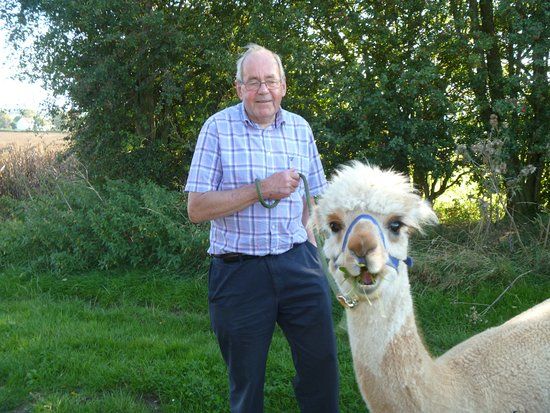 Larks Edge Alpacas