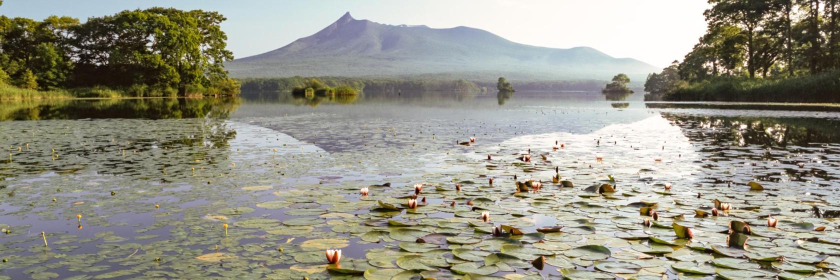 Onuma Quasi-National Park