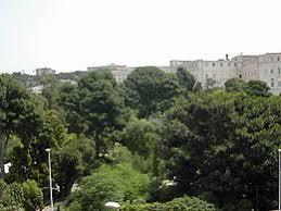 Botanical Garden of Cagliari