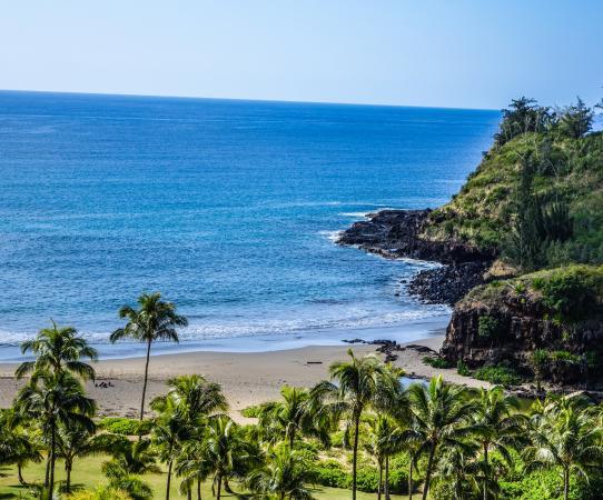 National Tropical Botanical Garden