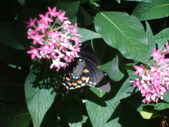 Discovery Place Nature