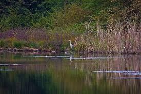 Lagoni di Mercurago Natural Park