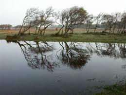 WWF Oasis Padule di Bolgheri