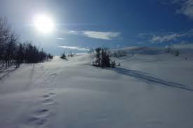 AB Fjallaktiviteter i Vasterbotten