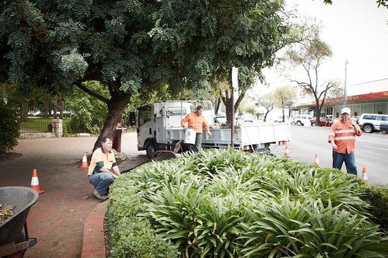 King George V Gardens