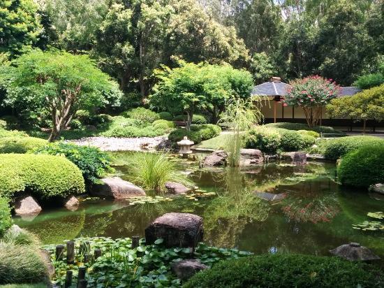 Brisbane Botanic Gardens Mt Coot-tha