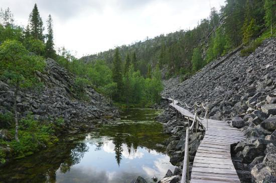 Pyha-Luosto National Park