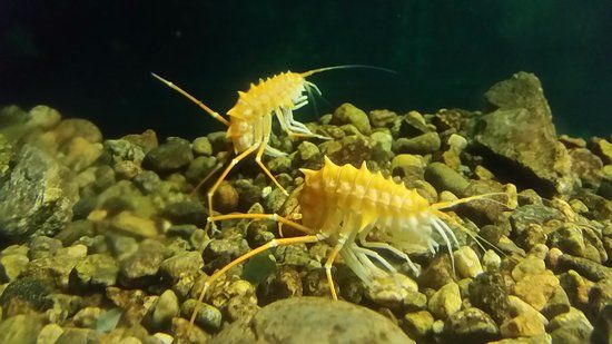 Maison de la Peche et de la Nature