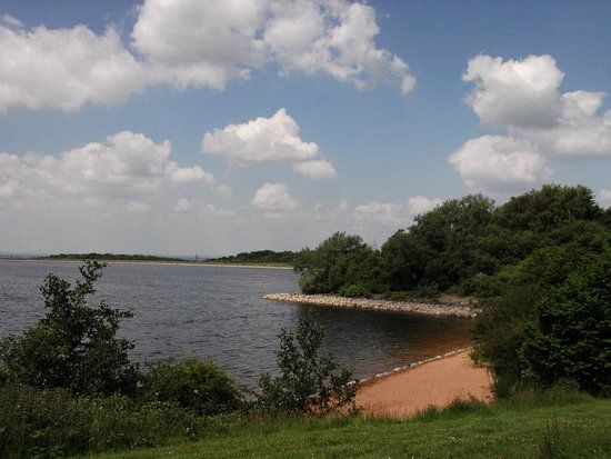 Foremark Reservoir