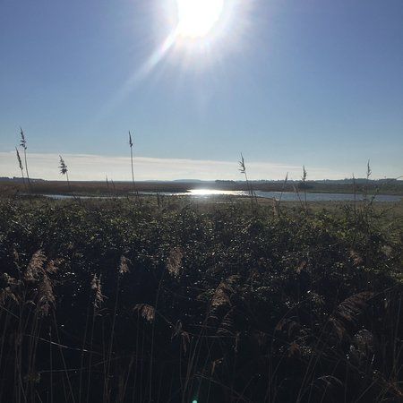 Holkham National Nature Reserve
