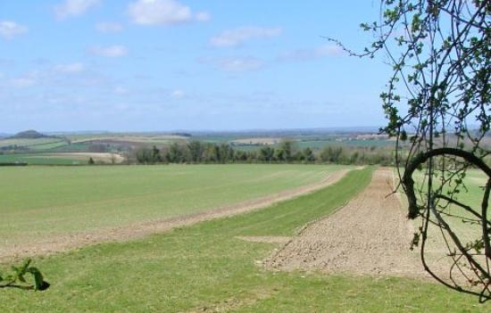 Stockbridge Wildlife and History Walk