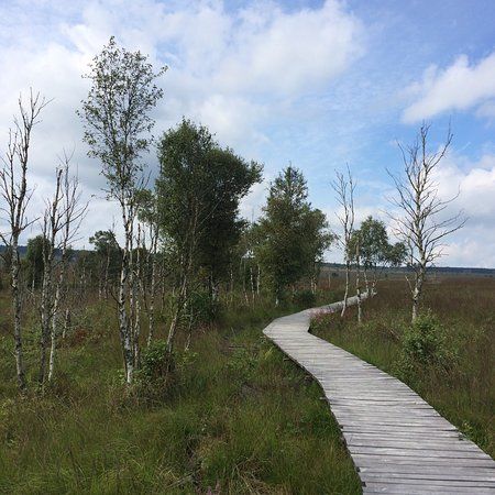 Parc Naturel des Hautes Fagnes