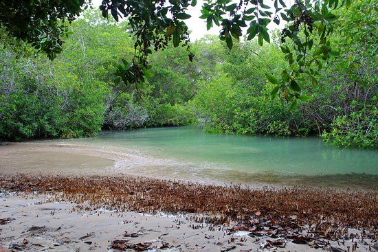 Isabela Island Wetlands Complex