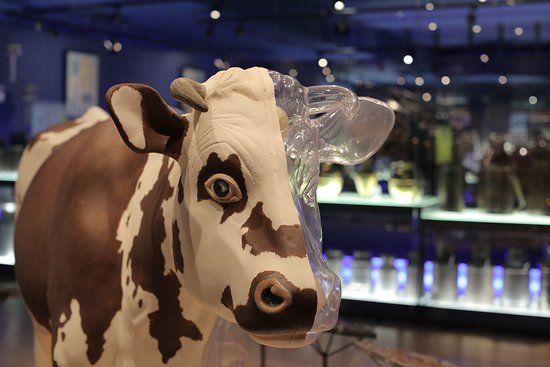 La Cite du Lait Lactopole Laval