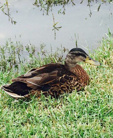 City-Brooks Community Park