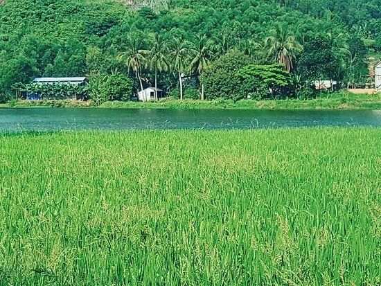 Dong Du Village