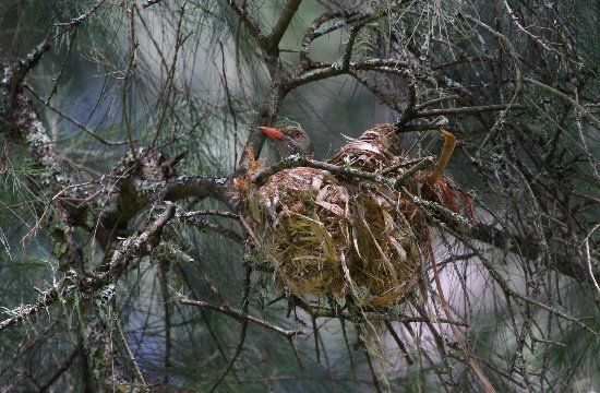 Bendeela Camping and Picnic Area