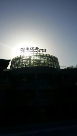 Century Golden Flower