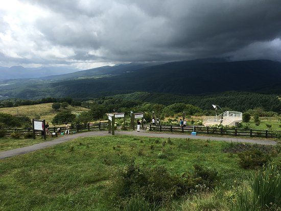 Tsumagoi Farm Aisai Bell