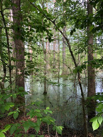 Little River National Wildlife Refuge