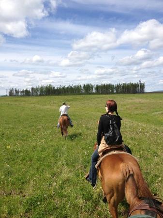 Silver Springs Country Recreation & Wellness