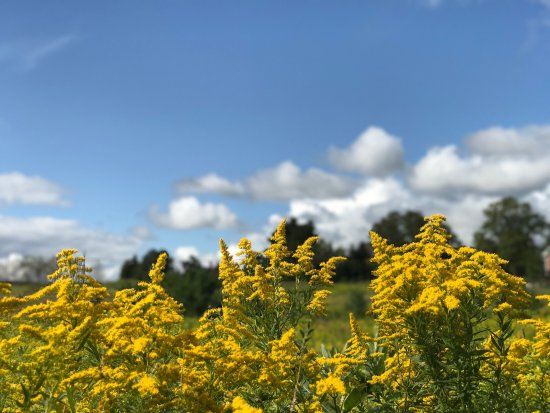 Upper Credit Conservation Area