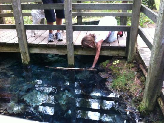 Sulphur Spring Conservation Area