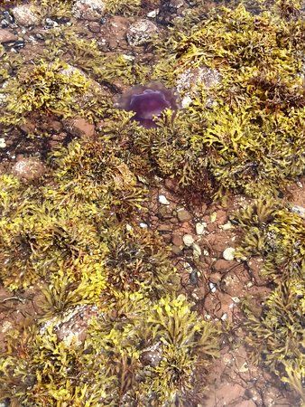 Tidnish Dock Provincial Park